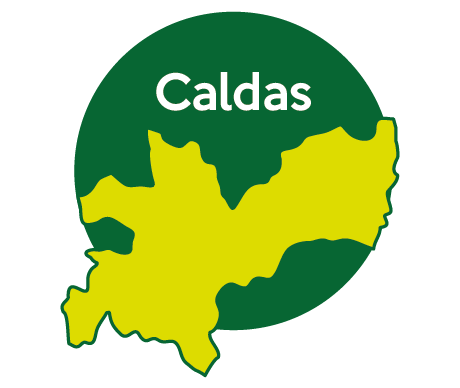 Candidatos Caldas